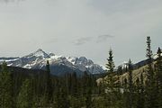 31 - Banff to Icefields - IMG_0946